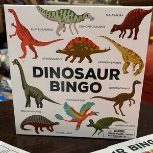 🌈Dinosaur Bingo Game for Kids🌈
